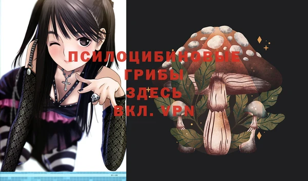 МДПВ Верея